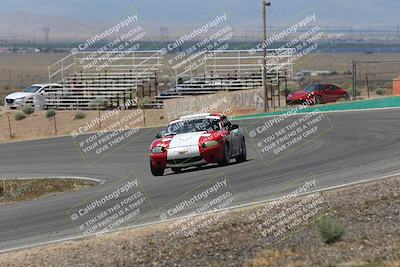media/May-03-2025-Lucky Dog Racing (Sat) [[206de64b9d]]/Turn 4 B (1150am-130pm)/